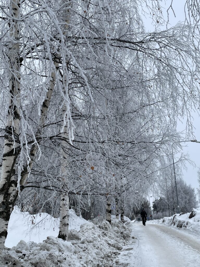 Laponie finlandaise